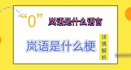 ��������ʲô���� �����ʲô��˼ʲô��